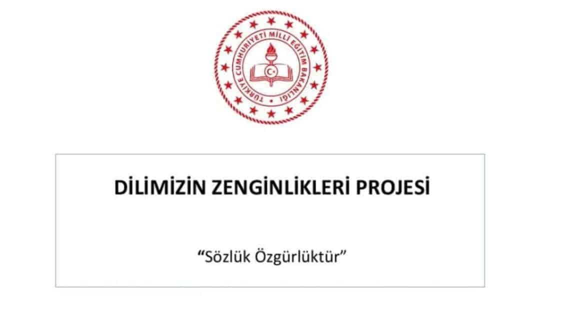 DİLİMİZİN ZENGİNLİKLERİ PROJESİ